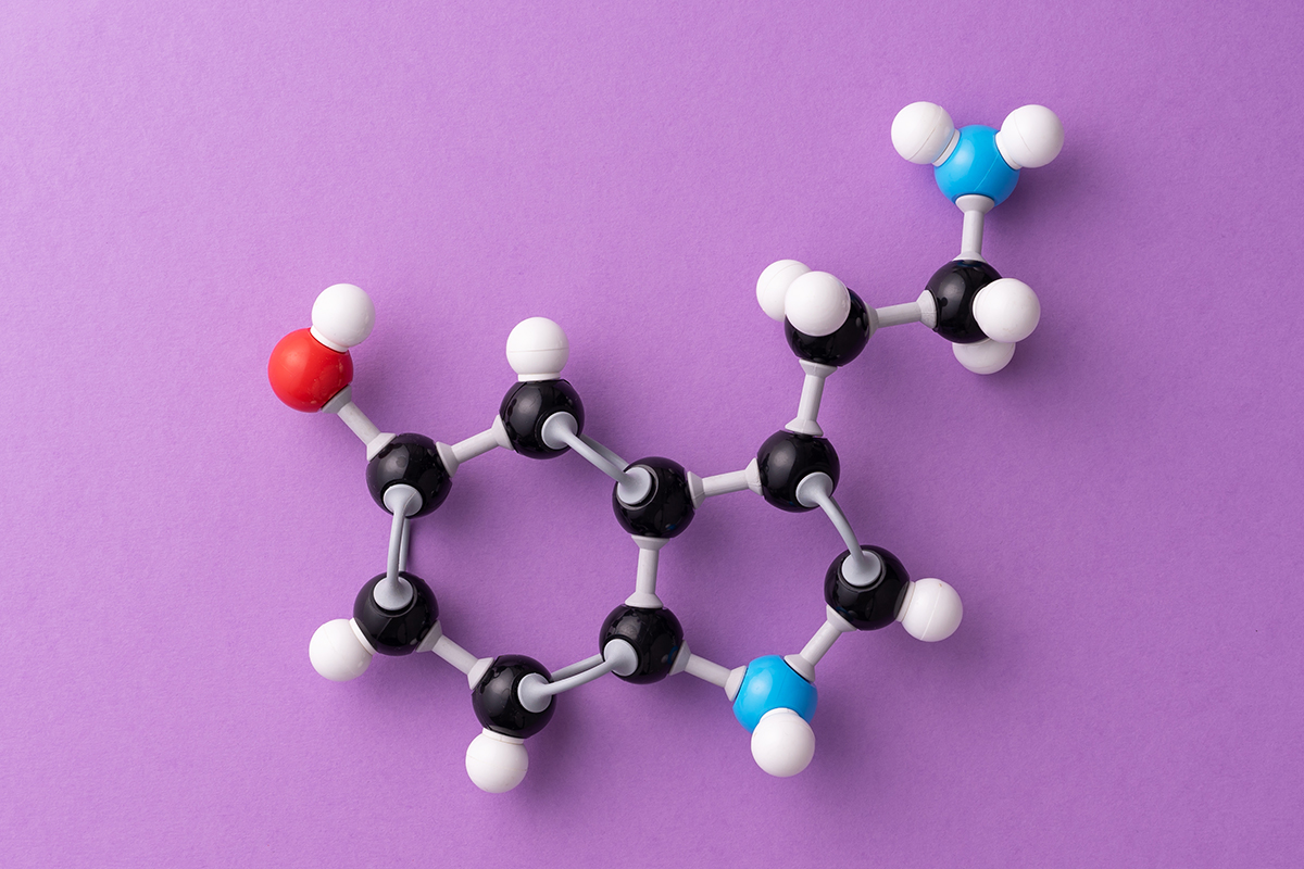 cortisol-profil.jpg